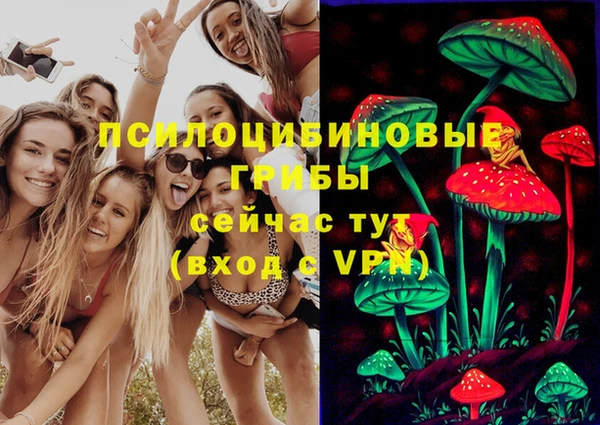 мдпв Армянск