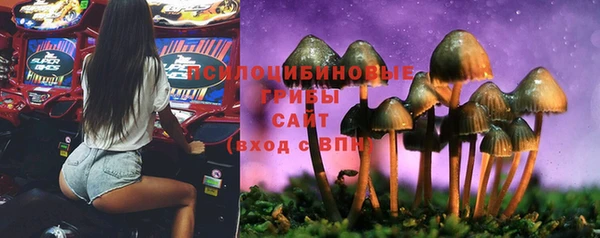герыч Алзамай