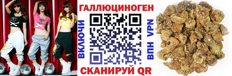 Псилоцибиновые грибы прущие грибы  KRAKEN как зайти  Бикин 