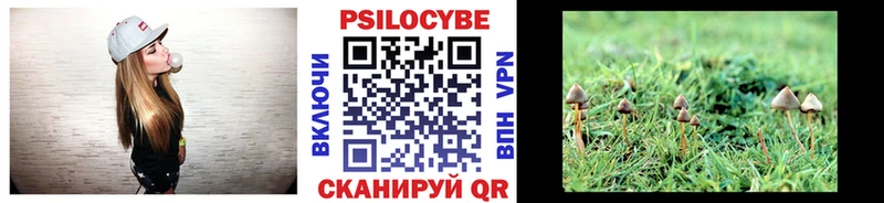 Псилоцибиновые грибы GOLDEN TEACHER Бикин